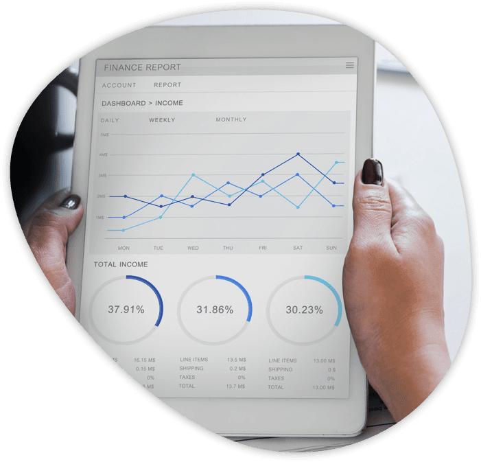 Screenshot of an accounting report from analysis service